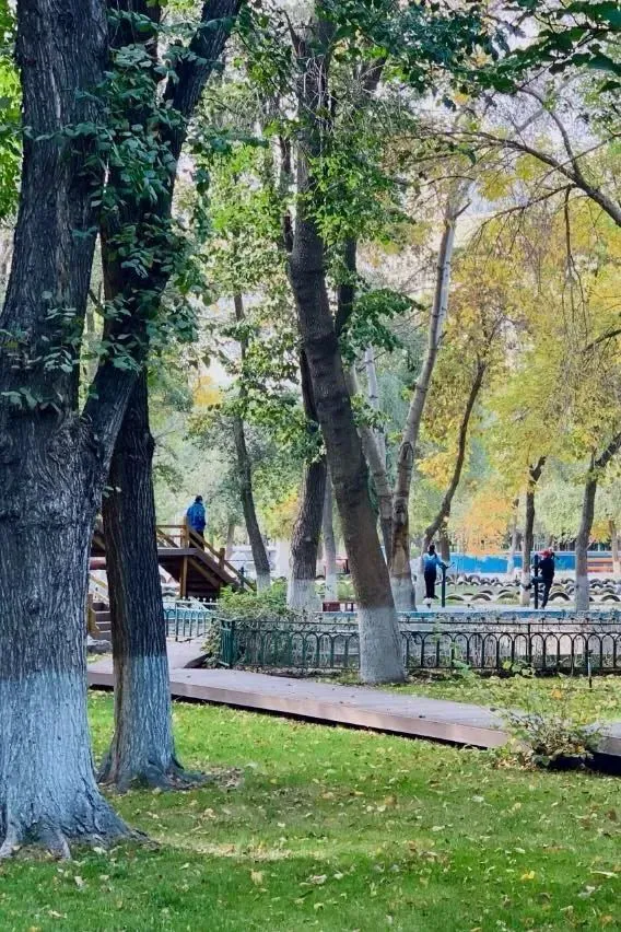 刻苦训练篮球时如何避免受伤的建议_0