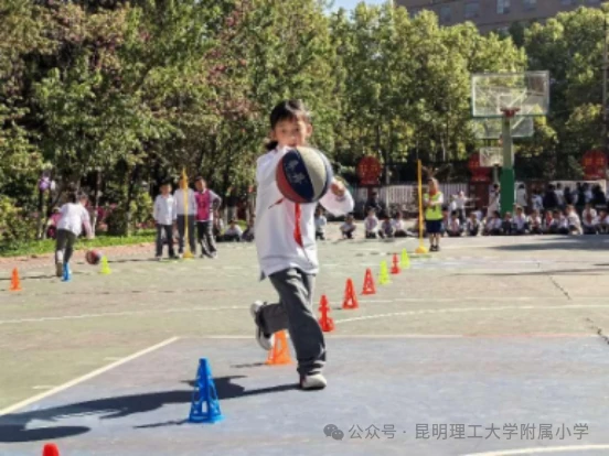 如何借助专业篮球教练提升个人声誉_0